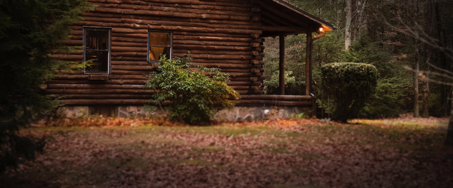 what-are-the-problems-with-log-cabins